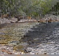 Lake Rowallan - Accommodation Brunswick Heads