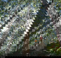 Leeuwin-Naturaliste National Park - Leeuwin - Accommodation Brunswick Heads