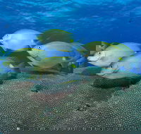 Lodestone Reef - Accommodation Brunswick Heads