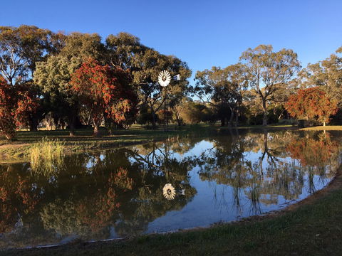 Lucindale - Accommodation Brunswick Heads 1