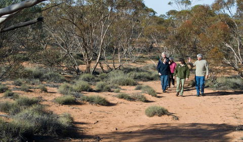 Mallee Stop Walking Track - Accommodation Brunswick Heads 0