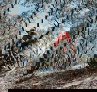 Mountain Bike Trails Deniliquin - Accommodation Brunswick Heads