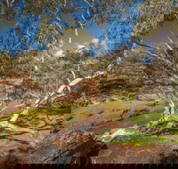 Mount Grenfell Historic Site - Accommodation Brunswick Heads