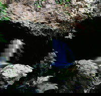 Natural Bridge Circuit Springbrook National Park - Accommodation Brunswick Heads