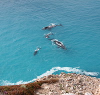 Nullarbor National Park - Accommodation Brunswick Heads
