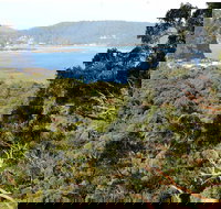 Patonga to Pearl Beach Walking Track - Accommodation Brunswick Heads