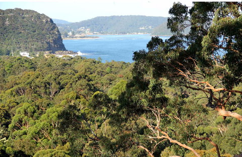 Patonga To Pearl Beach Walking Track - Accommodation Brunswick Heads 0