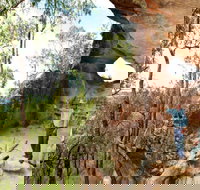 Pilliga Forest - Accommodation Brunswick Heads