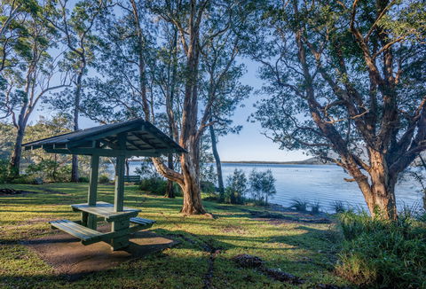 Queens Lake Picnic Area - Accommodation Brunswick Heads 0