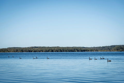 Queens Lake Picnic Area - Accommodation Brunswick Heads 1