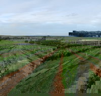 Razorback Cawdor Camden Park - Accommodation Brunswick Heads