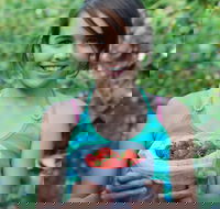 Ricardoes Tomatoes and Strawberries Farm Port Macquarie - Accommodation Brunswick Heads