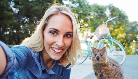 Rottnest Island - Accommodation Brunswick Heads 1