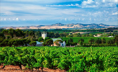 Seppeltsfield Road Barossa Valley - Accommodation Brunswick Heads 1