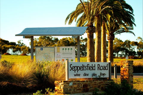 Seppeltsfield Road Barossa Valley - Accommodation Brunswick Heads 2