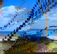 Shark Bay - Accommodation Brunswick Heads