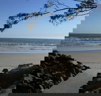 Shark Bay - Accommodation Brunswick Heads