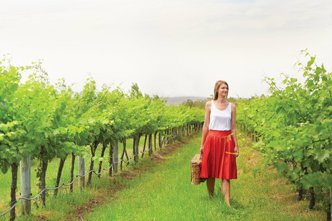 Swan Valley - Accommodation Brunswick Heads 0