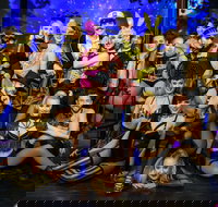 The Pink Flamingo Spiegelclub Gold Coast - Accommodation Brunswick Heads