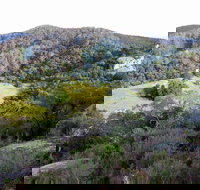 The Bellbird - Accommodation Brunswick Heads