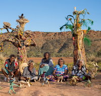 Tjanpi Desert Weavers - Accommodation Brunswick Heads