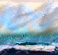 Tugun - Accommodation Brunswick Heads