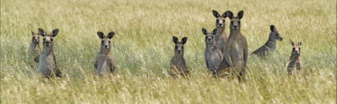 Woodlands Historic Park - Accommodation Brunswick Heads 0