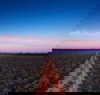 Yanga National Park - Accommodation Brunswick Heads