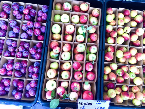 Adelaide Showground Farmers' Market - Accommodation Brunswick Heads 0