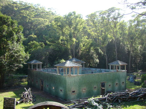Alpha Paintball - Accommodation Brunswick Heads 0