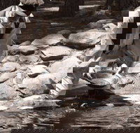 Bathurst Goldfields Education and Function Centre - Accommodation Brunswick Heads