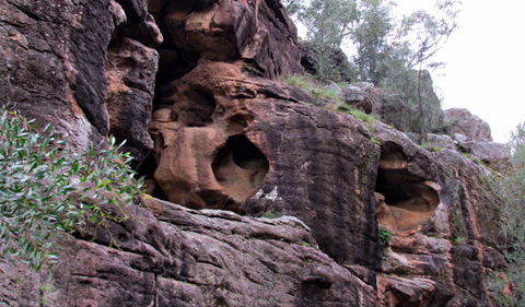 Bertha's Gully Walking Track - Accommodation Brunswick Heads 0