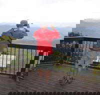 Best of All lookout track Springbrook National Park - Accommodation Brunswick Heads