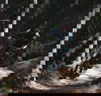 Boomerang Farm Bike Park - Accommodation Brunswick Heads