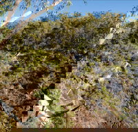 Boonoo Boonoo Falls picnic area - Accommodation Brunswick Heads