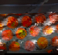 Bottle House and Mining Museum - Accommodation Brunswick Heads