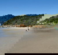 Broken Head Nature Reserve - Accommodation Brunswick Heads