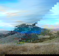 Burning Mountain Nature Reserve - Accommodation Brunswick Heads