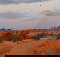 Castle Rock walk and Lookout - Accommodation Brunswick Heads