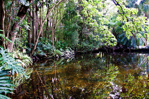 Cascade Gardens - Accommodation Brunswick Heads 2