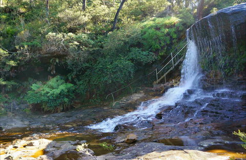 Charles Darwin Walk - Accommodation Brunswick Heads 0