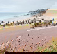 Coast to Vines Rail Trail - Accommodation Brunswick Heads