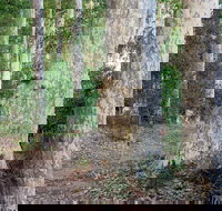 Delta Track - Accommodation Brunswick Heads