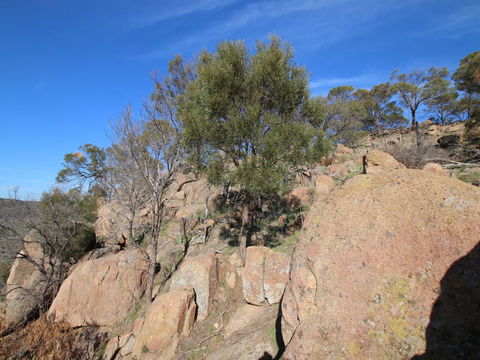 Eldorado And The Woolshed Valley - Accommodation Brunswick Heads 2