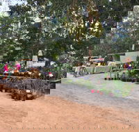 Fred's Pass Rural Market - Accommodation Brunswick Heads