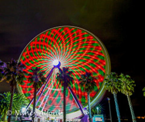 Giant Ferris Wheel - Hello Hi Lite Amusements - Accommodation Brunswick Heads 1