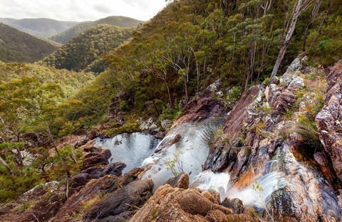 Gibraltar Range National Park - Accommodation Brunswick Heads 0
