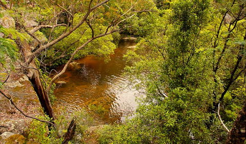 Girrakool Loop Track - Accommodation Brunswick Heads 0
