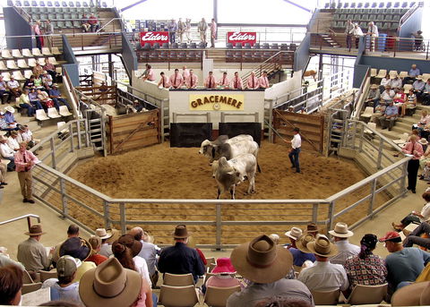 Gracemere Exhibition Complex - Accommodation Brunswick Heads 1