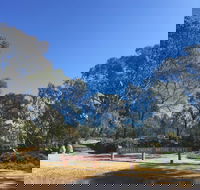 Grenfell Endemic Garden - Accommodation Brunswick Heads